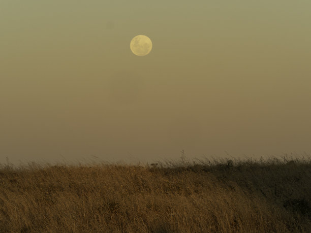 月亮在日落之上的开阔草原图片下载