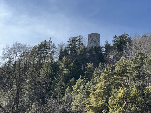 山顶上一座城堡的废墟，四周树木环绕，隐藏在其中。图片下载