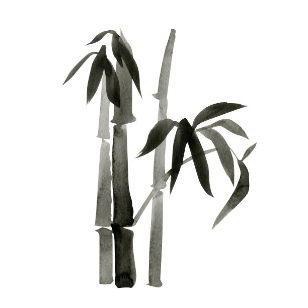 装饰水彩竹插图。图片下载