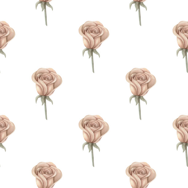 无缝图案水彩干燥玫瑰花。白底上精致的花装饰品老式那种波西米亚风格的植物。织物，包装，剪贴簿的手绘打印样品图片下载