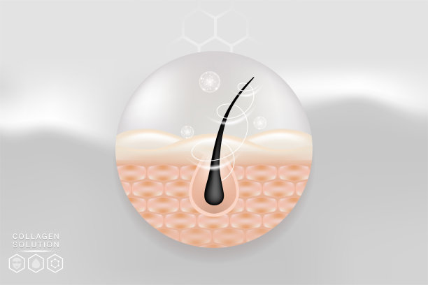 透明质酸头发和皮肤解决方案广告，白色胶原蛋白血清滴皮肤细胞与化妆品广告背景准备使用，插图向量。图片下载