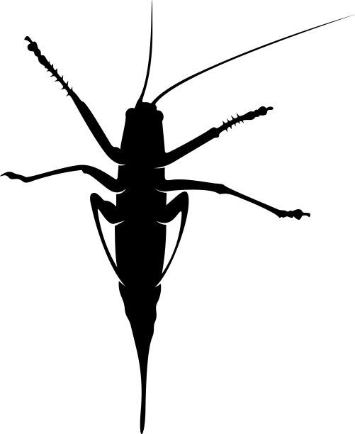 蚱蜢标志设计蚱蜢设计图片下载