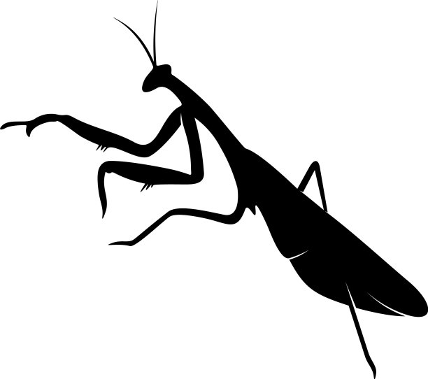 蚱蜢标志设计蚱蜢设计图片下载