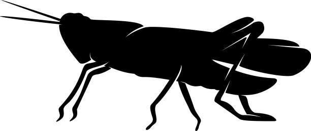 蚱蜢标志设计蚱蜢设计图片下载