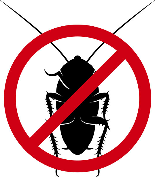 蟑螂标志设计蟑螂设计模板图片下载