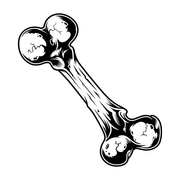古董狗骨模板图片下载