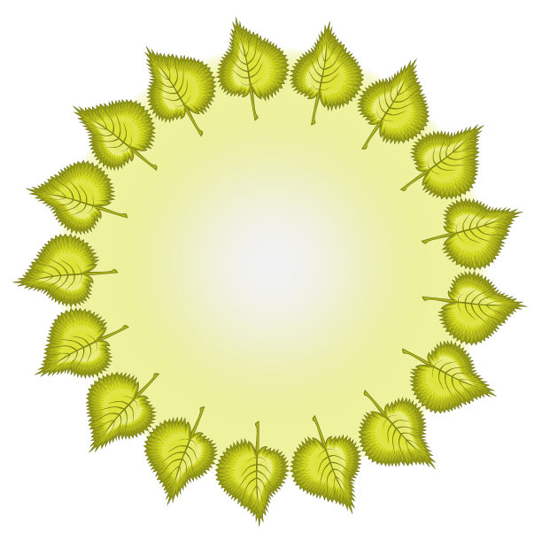 黄桦树的叶子形成了一个框架图片下载