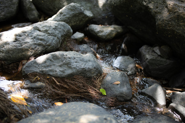 湿溪中的岩石图片下载