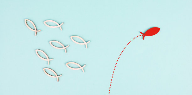 一条红鱼逆流而上，与其他鱼的方向相反，具有不同的领导能力和观念图片下载