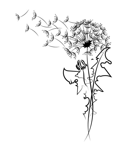 蒲公英的剪影和黑色的飞行种子图片下载