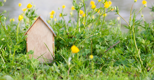 草地上的木屋，在自然中购买或租用房屋，房地产概念，预订度假的家，复制文本空间图片下载