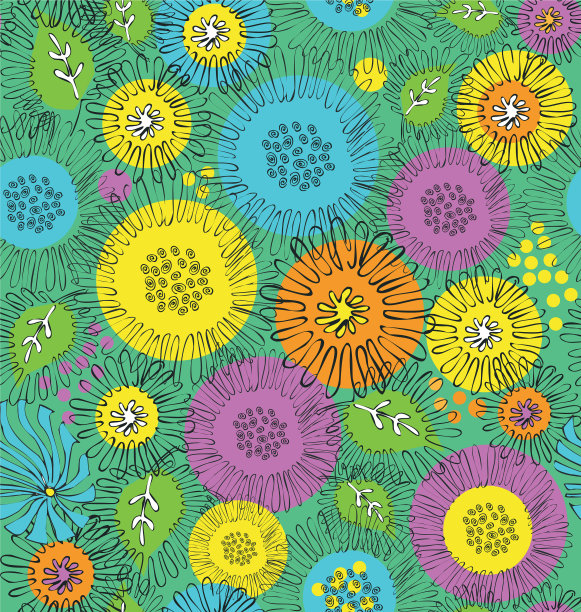 花有菊苣和菊花图片下载