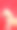奶油奶油的女性狮子狗照片拍摄会议的工作室与红色的背景和快乐的表情图片下载
