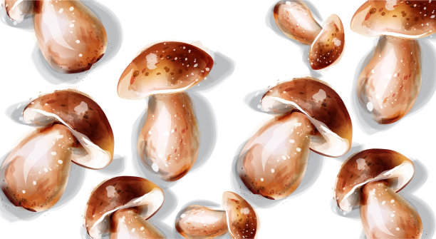 蘑菇水彩菜单模板圆框架图片下载