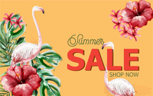 夏季热带花卉和火烈鸟卡图片下载