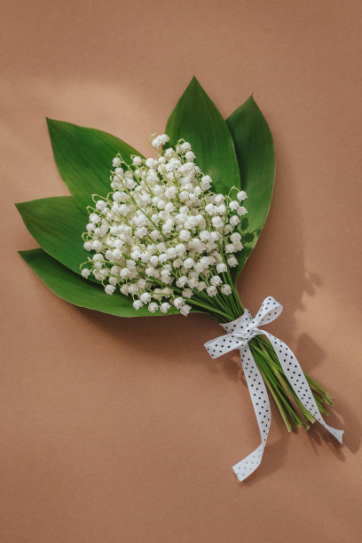 花束百合的山谷和空间的文本米色背景图片下载