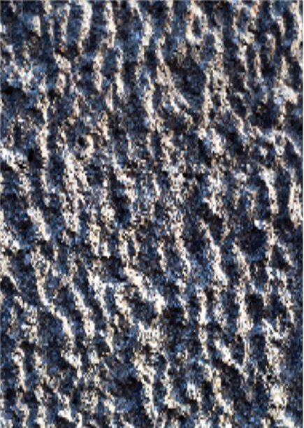 网状木材纹理逼真的木材纹理图片下载