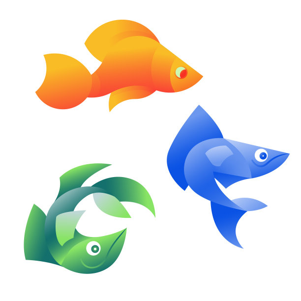 橙色，蓝色和绿色的鱼图片下载