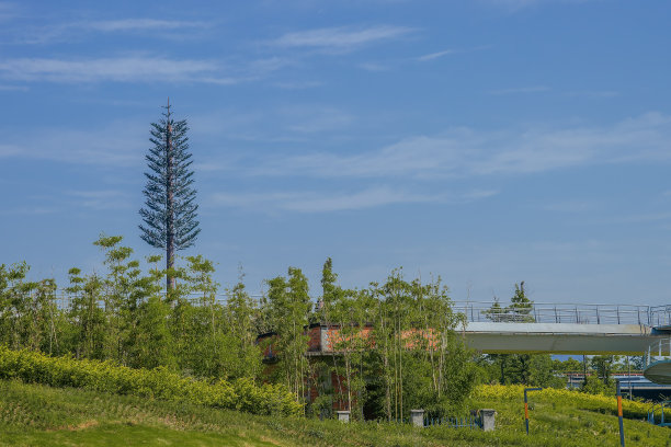 成都大桥和金融城在一个阳光明媚的日子图片下载