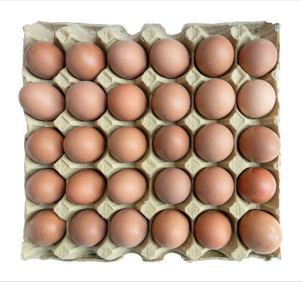 用白底隔离包装箱内的新鲜鸡蛋图片下载