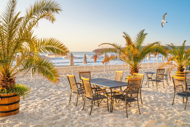 海岸景观-海滩的景观与海滩家具，棕榈树和雨伞图片下载