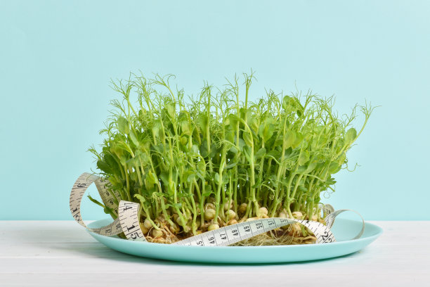 浅蓝色盘子上的微绿色圆点和一厘米的缎带。图片下载