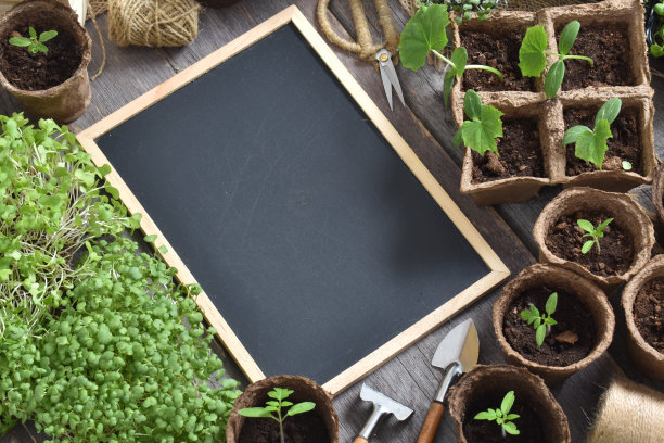 园林构图用粉笔板、苗木和园林工具。图片下载