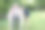 亚洲年长的父亲试图与步行行者和成年的儿子女儿妻子支持加登在家里。老人残疾行走和照顾年轻人帮助后院。保健家庭生活方式图片下载