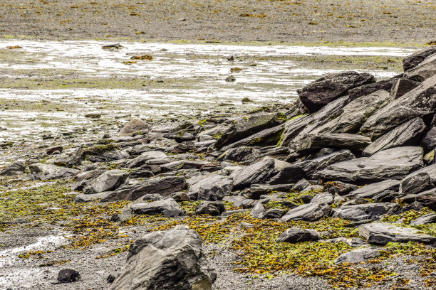 威廉王子湾的海岸图片下载