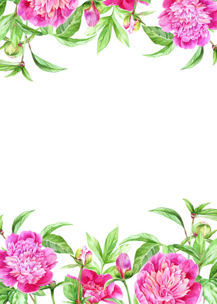 明亮的粉红色牡丹水彩框架图片下载