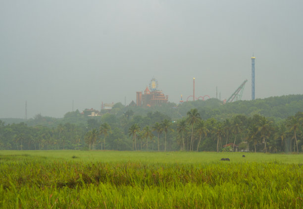 山顶上的游乐园，前景是稻田图片下载