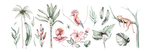 热带水彩集鸟类蜂鸟、猴子和美洲虎、异国丛林植物棕榈香蕉叶花朵、火烈鸟粉彩无缝面料为背景图片下载