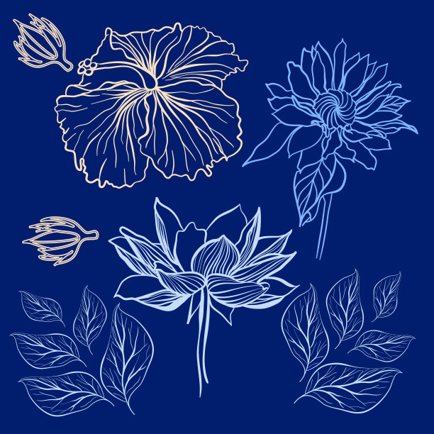 向量木槿，莲花和向日葵图片下载