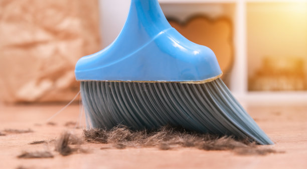 修剪后的头发散落在地板上。用簸箕里的扫把清洁头发。图片下载