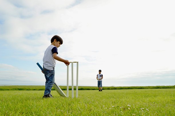 两个兄弟小男孩穿着相似的制服白色条纹t恤，站在板球运动的三柱门和树桩保释前，在开阔的绿色田野里观察和分析树桩，那里有大片的草地和清澈的蓝天图片下载