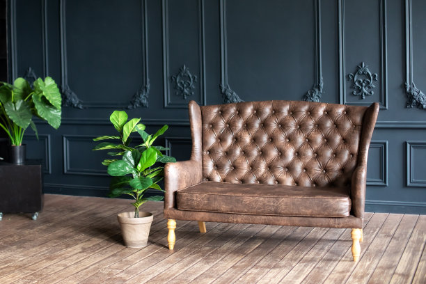 现代简约的客厅内部阁楼风格与棕色沙发在黑暗的房间。沙发和大型温室植物在木制地板上盆栽。宽敞的古典风格橱柜房有沙发。图片下载