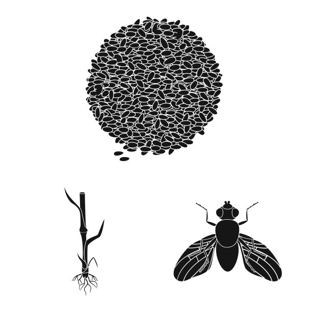 黑麦和植物标志集图片下载