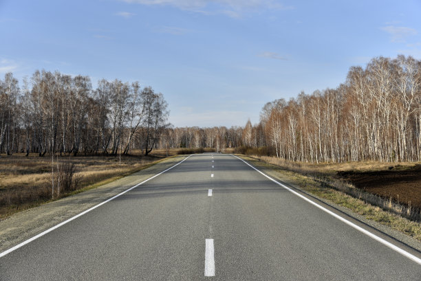 高速公路上的森林在春天的下午图片下载