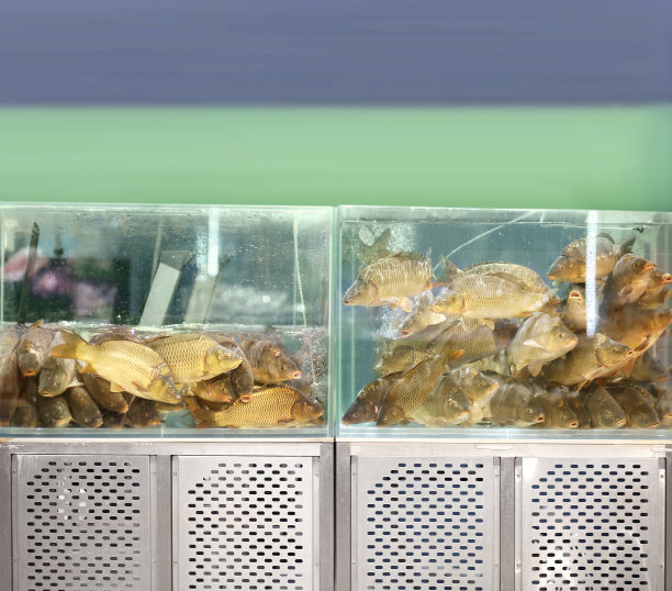 超市里的鲜鱼海鲜图片下载