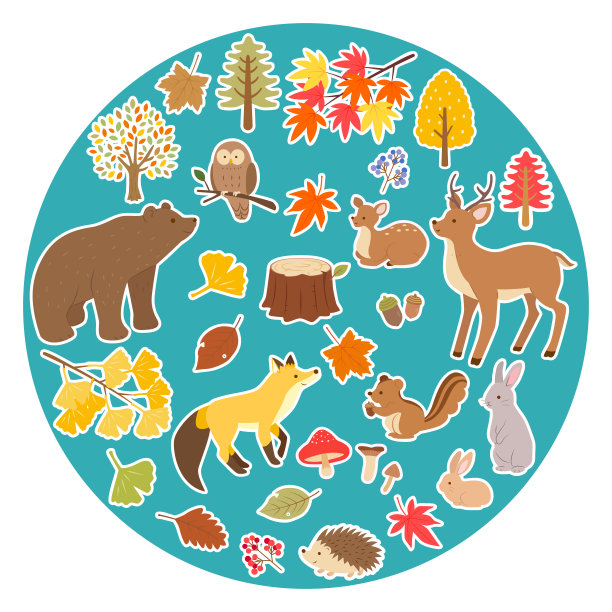 插图集秋天的森林和动物图片下载