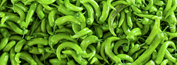 全帧绿色农民辣椒背景图片下载