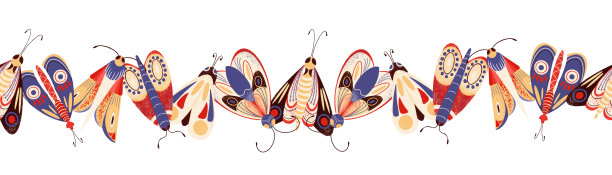 无缝边界与彩色可爱的飞蛾在白色背景，蝴蝶，飞蛾，可爱的昆虫图片下载