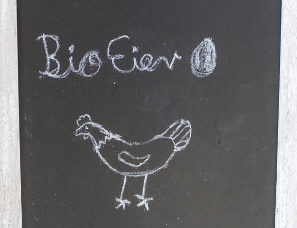 黑板有机鸡蛋德国“Bio Eier”图片下载