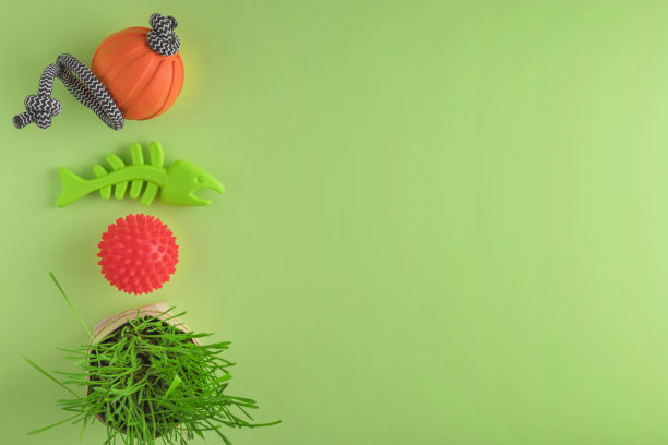 绿色背景上的宠物玩具。营养的草。前视图。副本的空间。图片下载