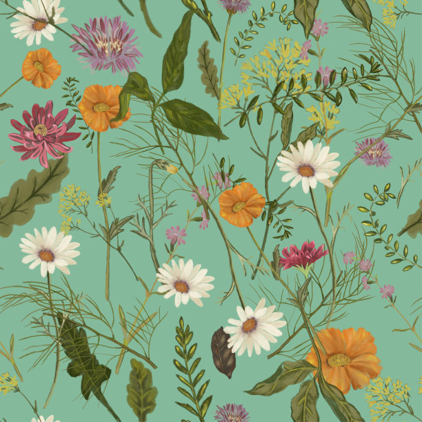 有野花和叶子的图案。图案与草药和雏菊。织物设计的复古插图。树叶的模式。时尚花艺设计图片下载