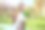 户外肖像亚洲女学生与背包耳机笔记本电脑看相机图片下载