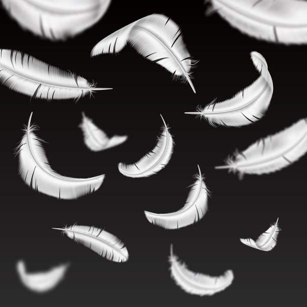 逼真的飞行羽毛背景。3D白色蓬松的鹅羽毛元素。轻快的下降部分。天使和鸟儿的翅膀。天鹅那卷曲的鹅毛笔。光滑的羽毛。向量的概念图片下载