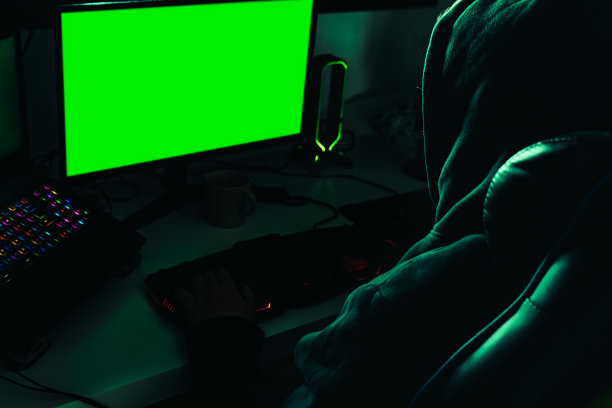 戴帽黑客入侵政府数据服务器并植入病毒图片下载