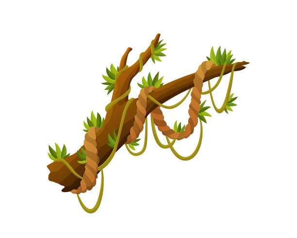 藤本植物或丛林植物或藤本野生绿叶图片下载