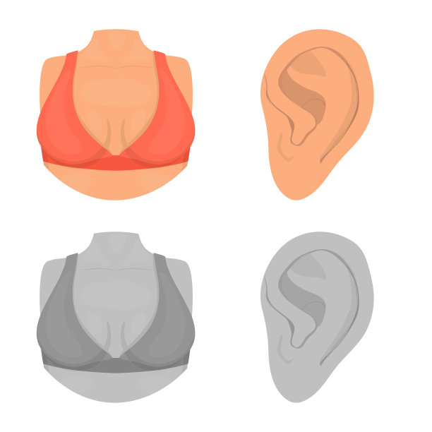 孤立的对象体和部分标志集体图片下载